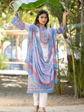 Sakeena Heavy Fancy Pair with Dupatta set.